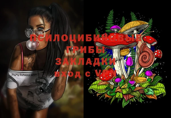 spice Дмитровск