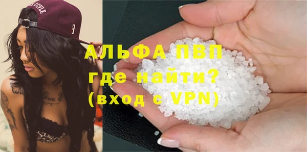 ПСИЛОЦИБИНОВЫЕ ГРИБЫ Дмитров