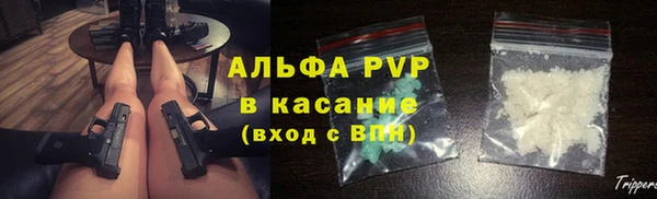 ПСИЛОЦИБИНОВЫЕ ГРИБЫ Дмитров