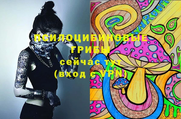 spice Дмитровск