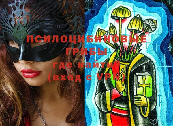 ПСИЛОЦИБИНОВЫЕ ГРИБЫ Дмитров