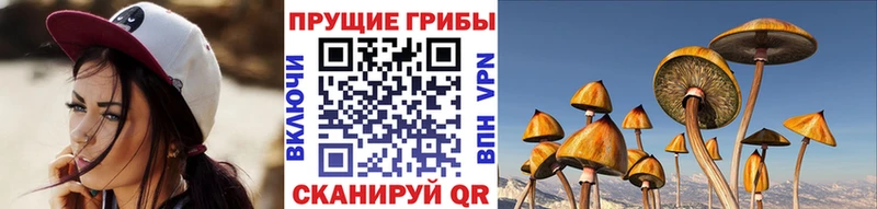 Галлюциногенные грибы Psilocybe  дарк нет телеграм  Ессентукская 